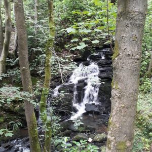 derbyshire guided short day nature walks